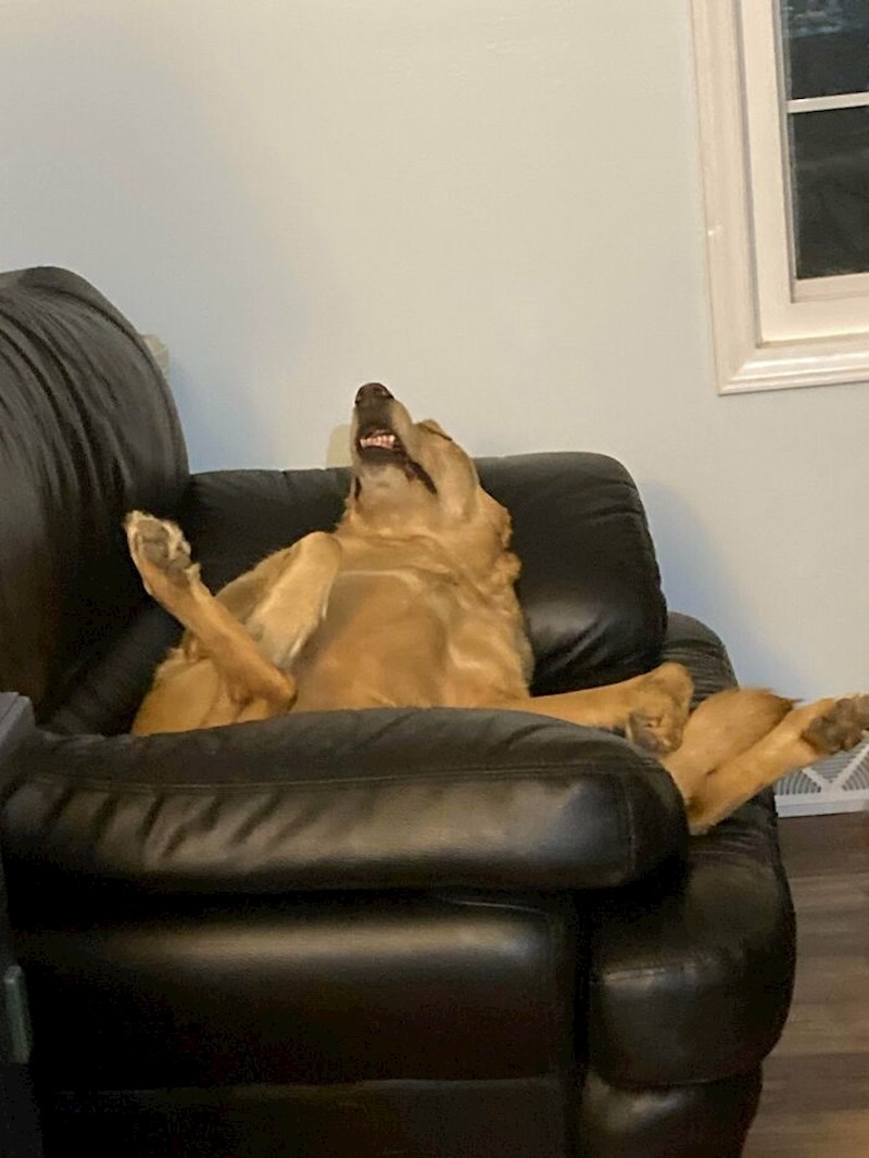 Popodnevni drijemež