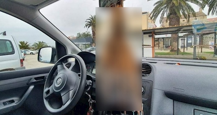 Ovaj Dalmatinac sigurno ima "borić" u automobilu kakav nikad niste vidjeli