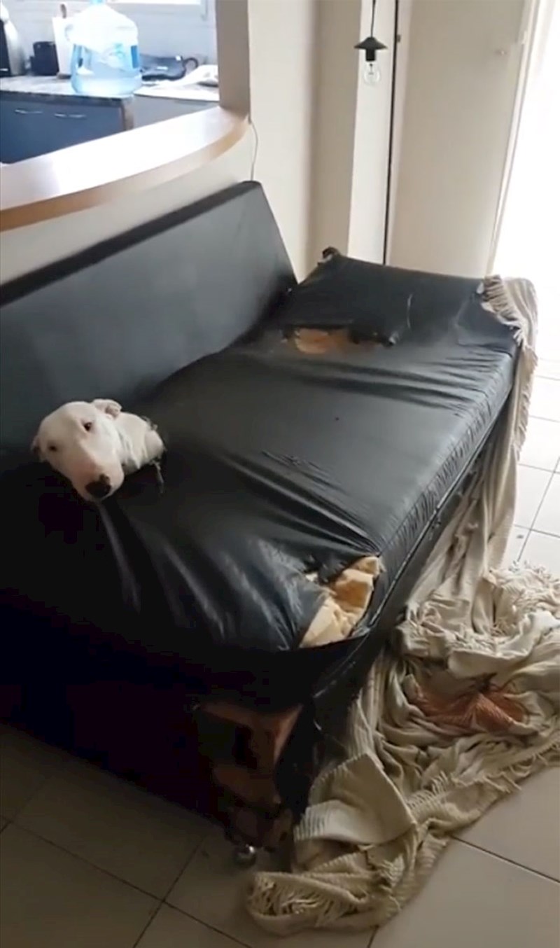 Ne znam kako se ovo dogodilo!