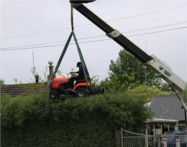 Imao je zadatak srediti živu ogradu.