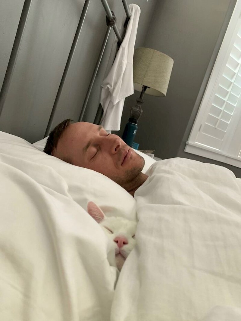 Dušo, o čemu pričaš, mačka nikad neće postati važnija od tebe