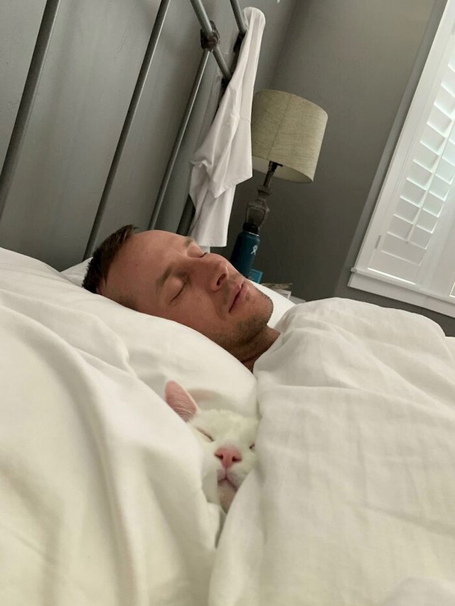 Dušo, o čemu pričaš, mačka nikad neće postati važnija od tebe