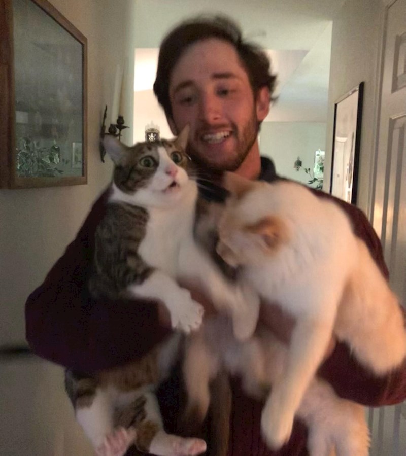 Pokušao sam se fotkati sa sve tri mace odjednom