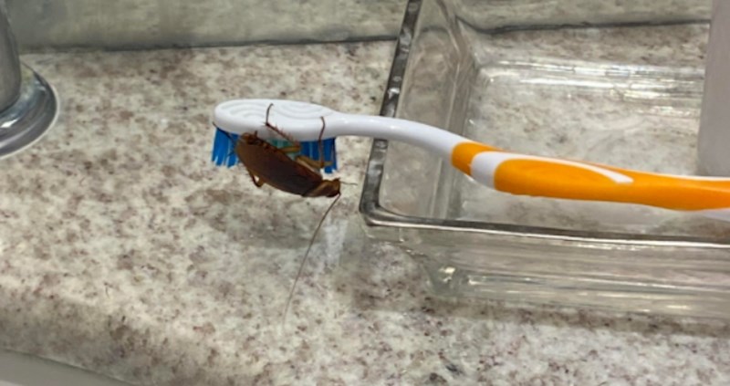 14 ljudi čiji bi dan definitivno mogao biti i bolji