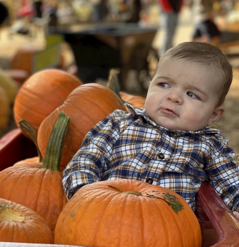 Cijelo vrijeme dok smo razgledavali bundeve je ovako sumnjičavo gledao