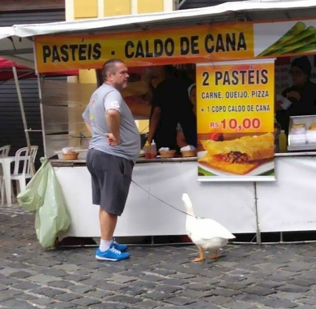 Zanimljivi kućni ljubimci