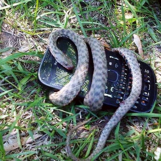 Ovo nam je ponekad potrebno da ne pošaljemo bivšem poruku