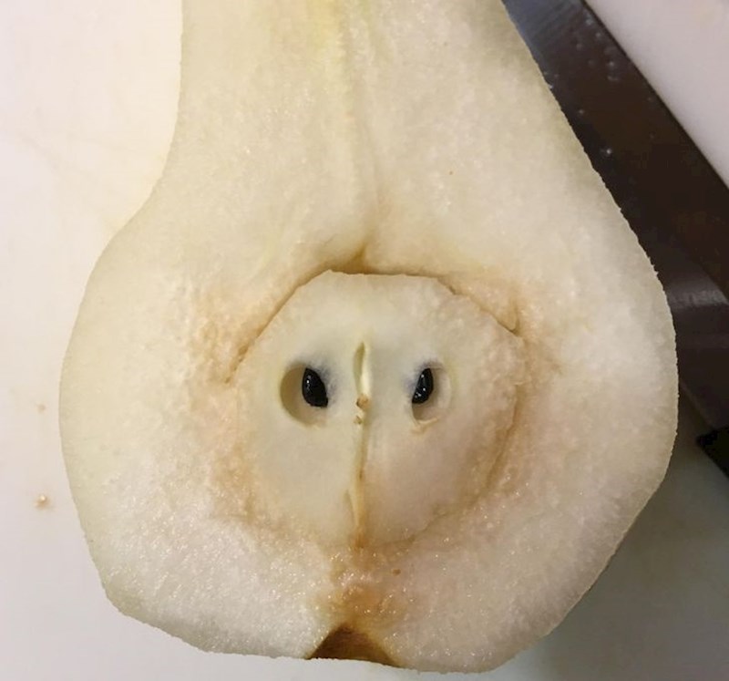 Kruška u kojoj se skriva sova?