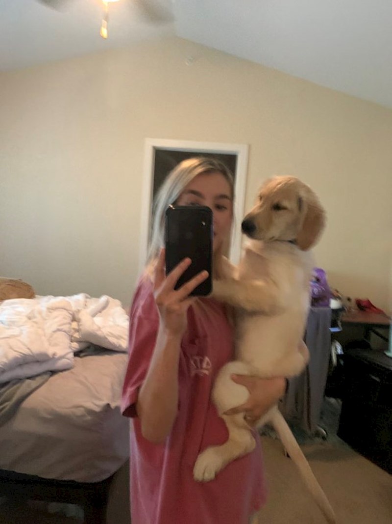 Moj pas izgleda kao da ima ljudsku stražnjicu