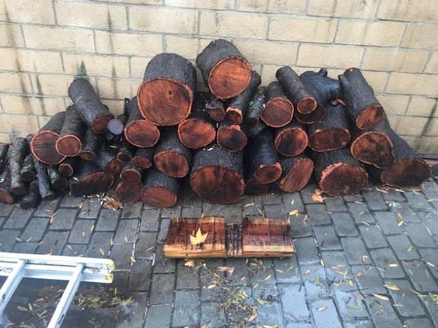 Tata je rekao da pokrijem cijepanice prije kiše pa sam ja rekao mlađem bratu da pokrije cijepanice prije kiše...