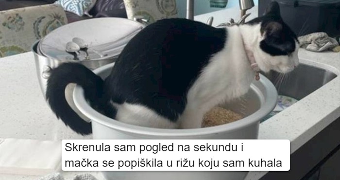 12 ljudi koji su definitivno imali i bolje dane