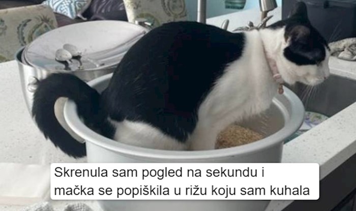 12 ljudi koji su definitivno imali i bolje dane