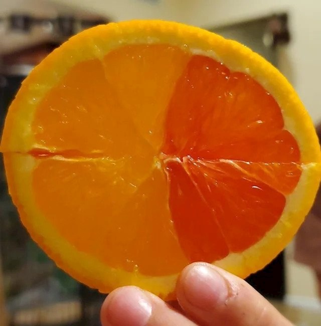 Pronašla je naranču pola žutu, a pola narančastu