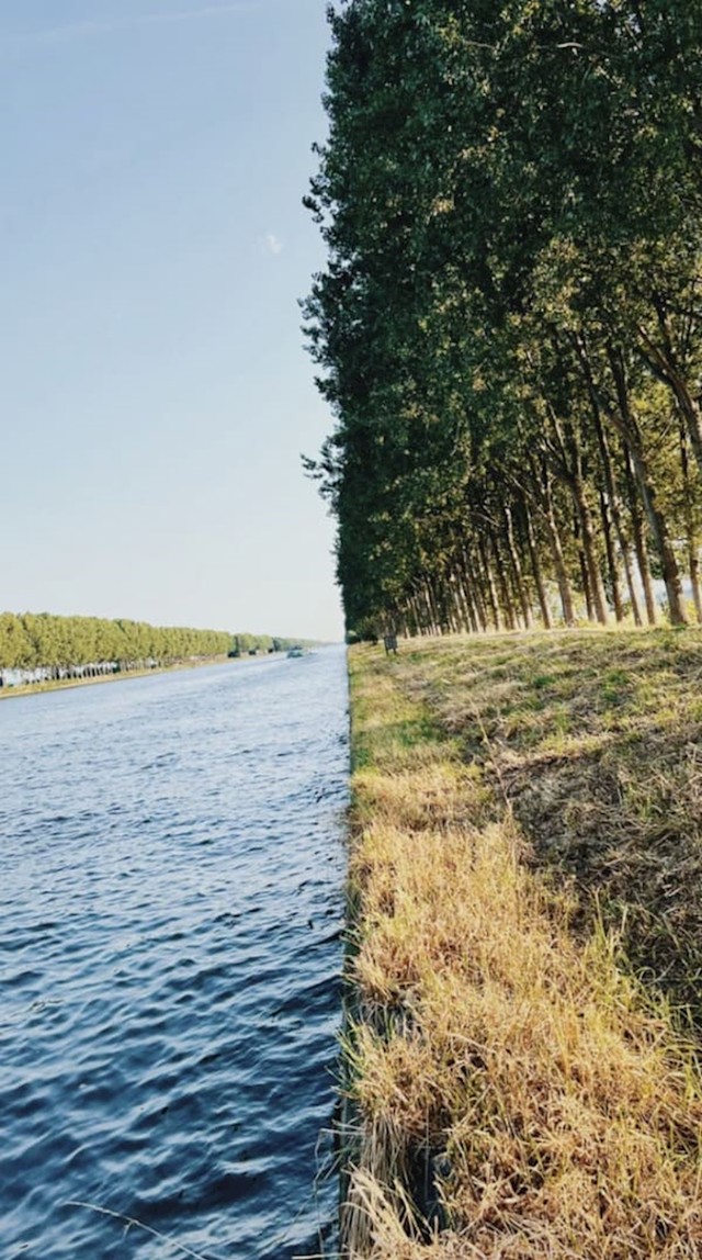 Ovo je jedna fotografija, ne dvije spojene