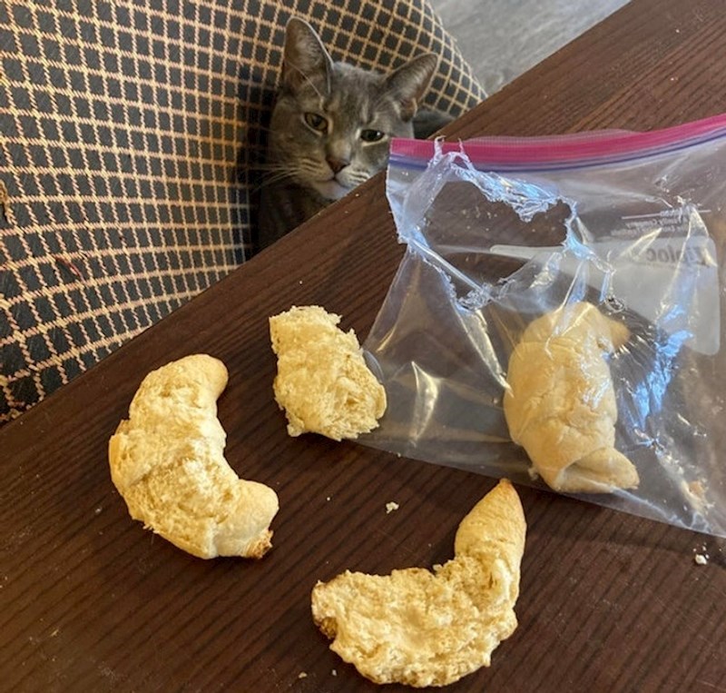 Kad sam išao spavati tu je bilo pet kolačića