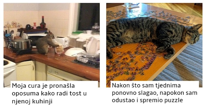 18 pahuljastih huligana koji rade što god žele, a ne možemo im odoljeti