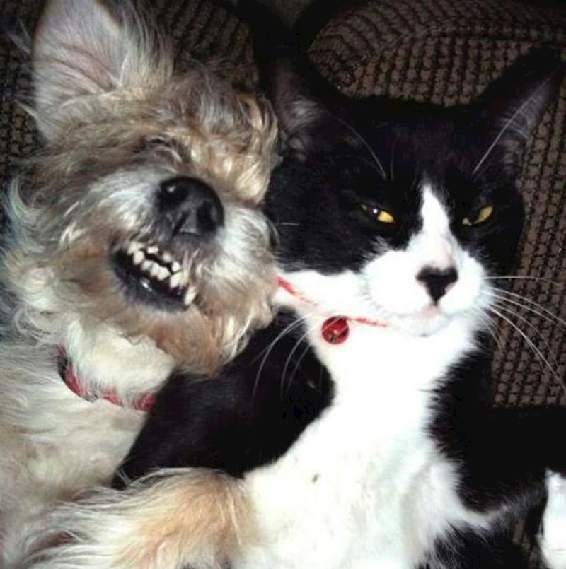 Jao kako je iritantan!