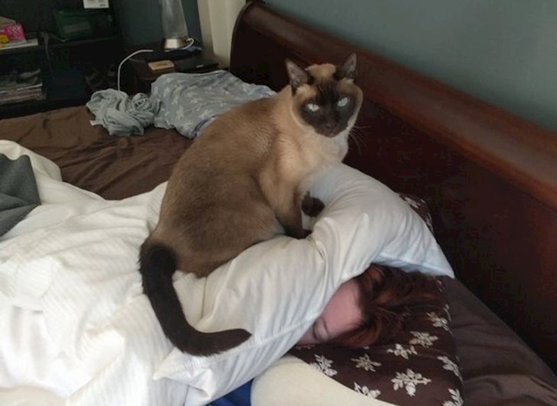 Produži, nemaš što vidjeti ovdje