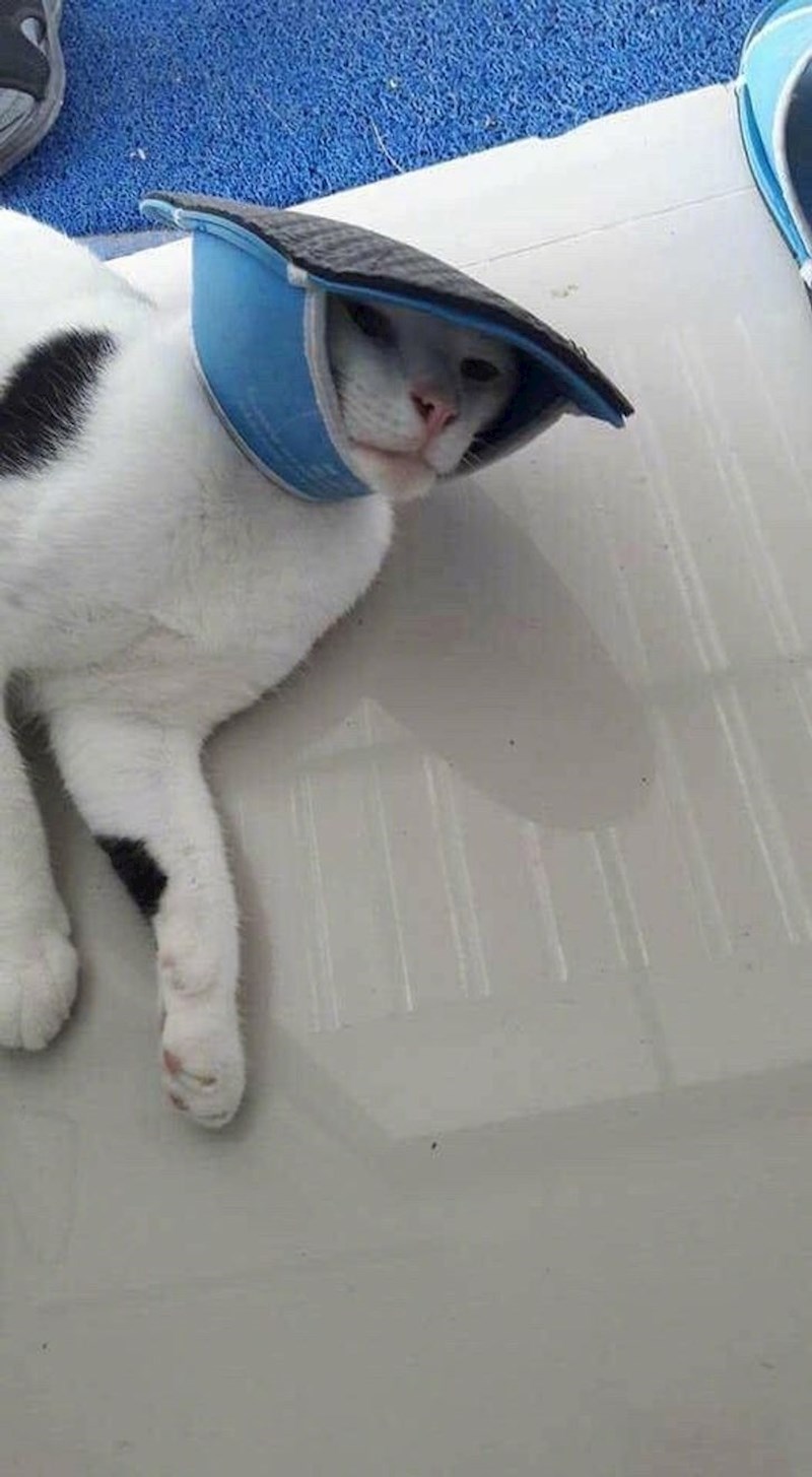 Kad ti mama kupi šešir i kaže da ti savršeno stoji