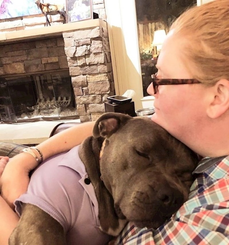 Bio je službeni pas tragač, sad je u zasluženoj mirovini