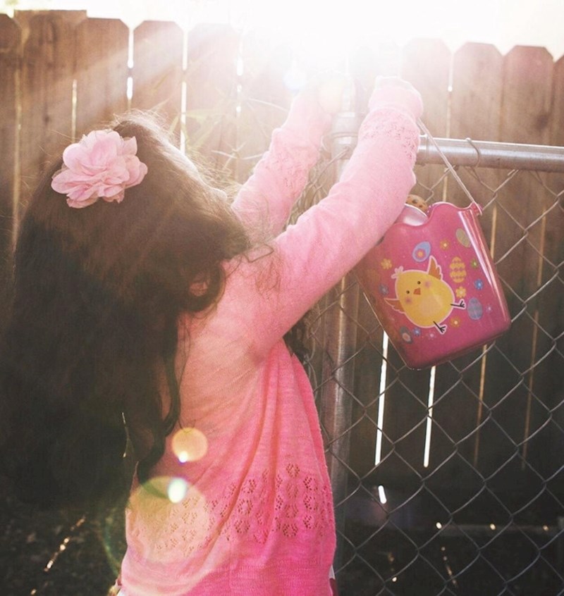 "Kći je tražila jaja po dvorištu i čini se kao da je pronašla čarobno zlatno jaje"