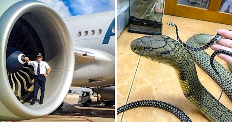 7 zanimljivih slika na kojima ćete vidjeti stvari koje se ne viđaju često