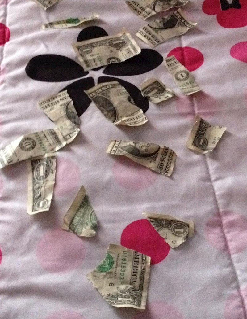 Sva sretna mi je došla i pokazala kako je stvorila više novca nego što smo imali