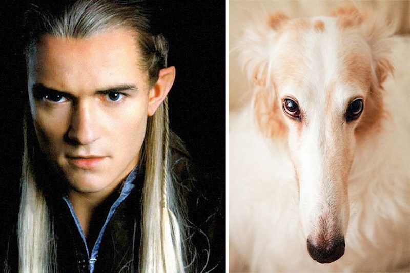 14. Legolas