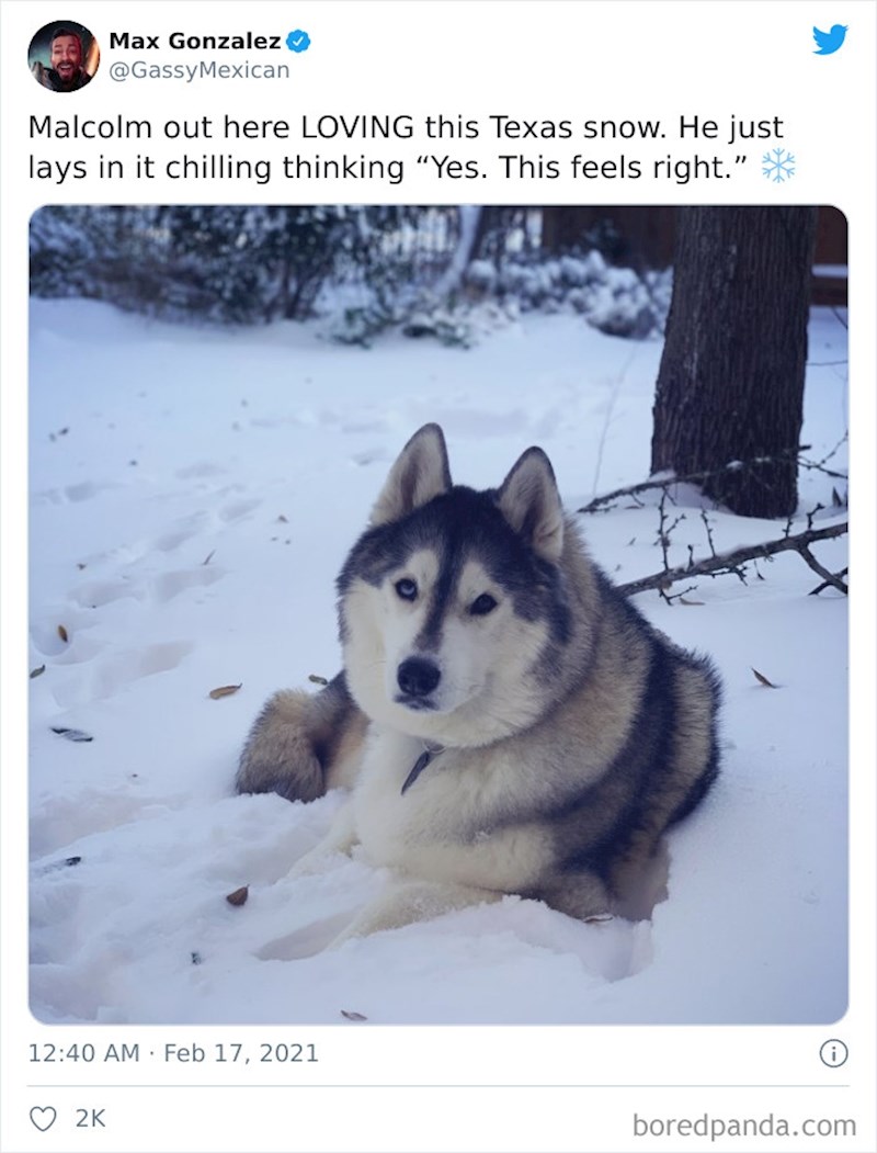 On je jedini koji uživa u ovom vremenu