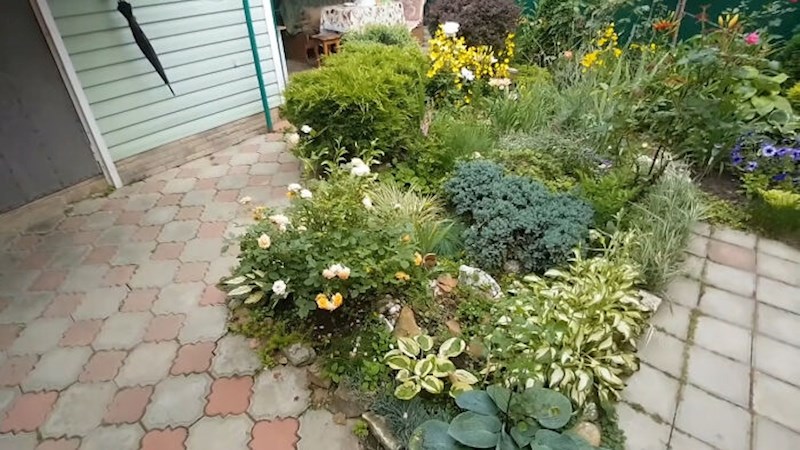 U kojoj može uzgajati mnogo cvijeća