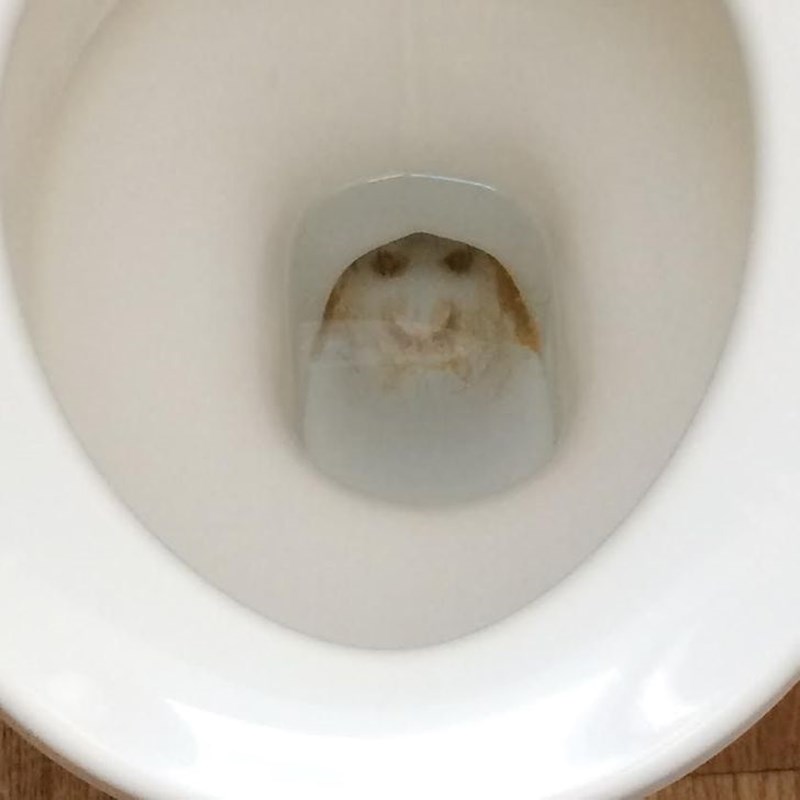 A ovo lice iz noćnih mora se nalazi unutra i ne može se očistiti