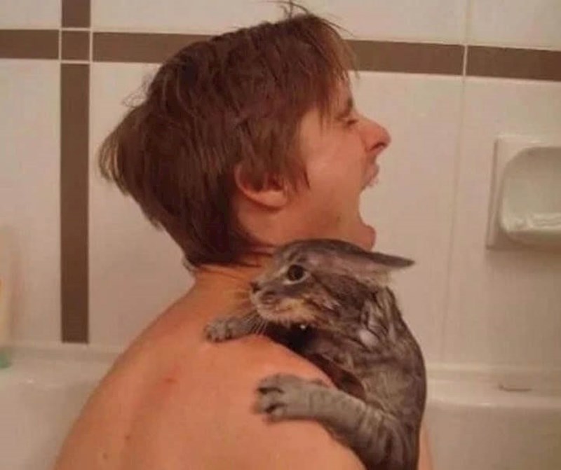 Sigurno se sad kaje zbog ideje da se okupa sa svojom mačkom