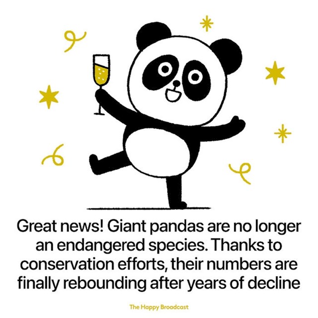 Velike pande više nisu ugrožene!