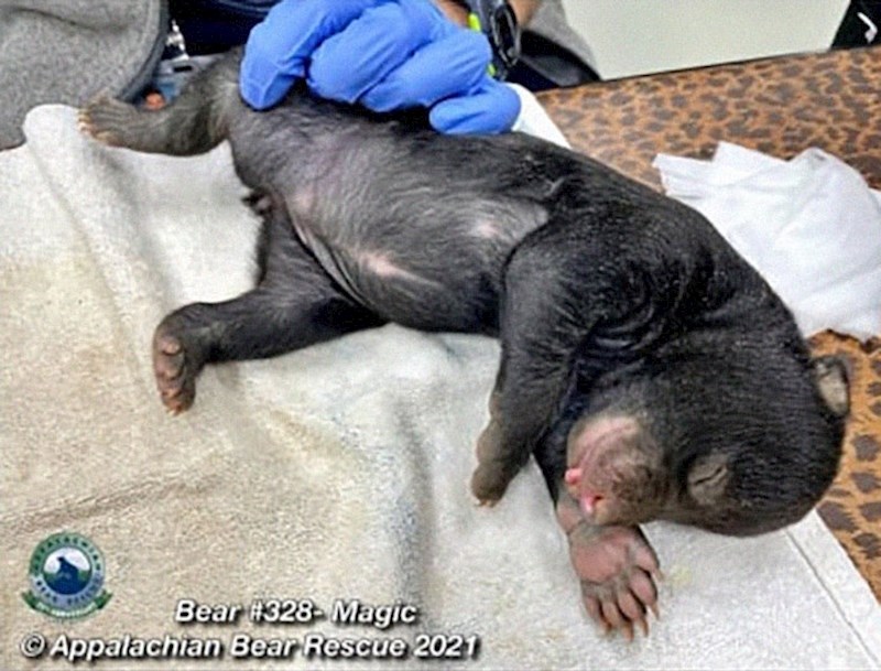 A kraj priče je - genijalan!