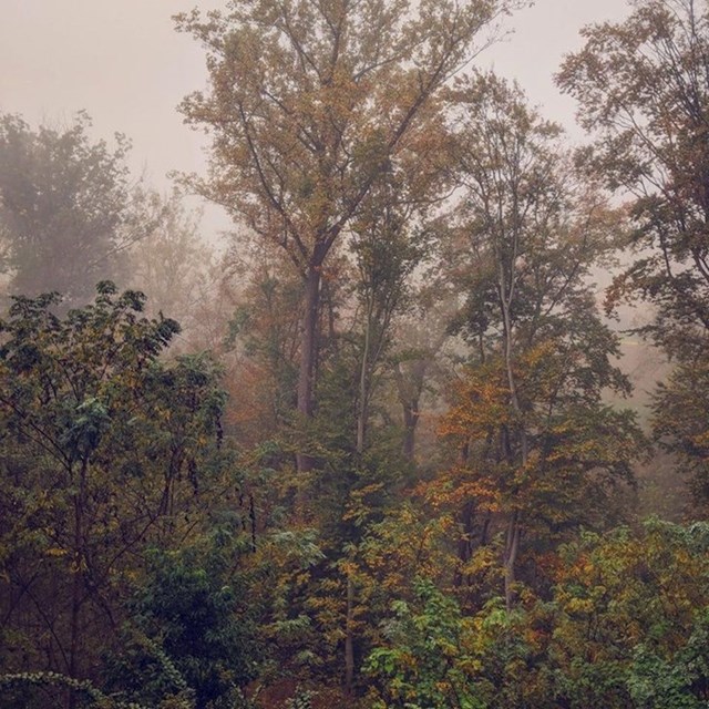 14. Dvorište moje kuće. I iako nema ljudi, ova fotografija izgleda kao slika Davida Vinckboonsa.