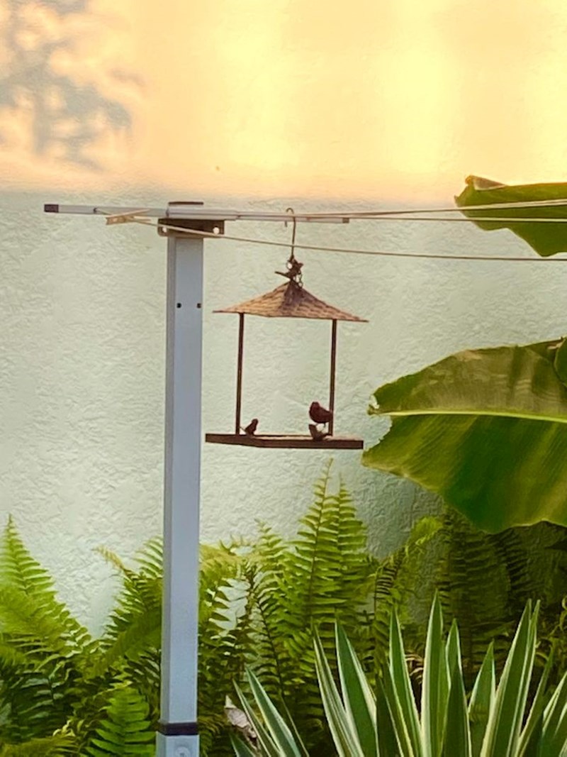 Ovaj zid izgleda kao ocean