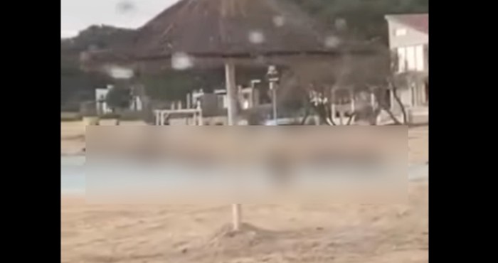 Šera se viralni video iz Dalmacije: Vani 0, pada snijeg, puše bura, a pogledajte nju!