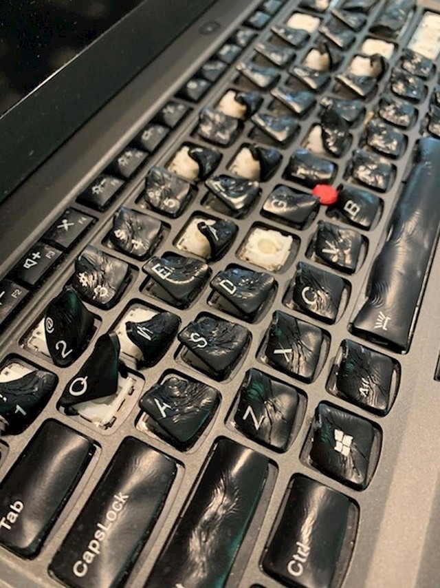 Prolio je vodu po laptopu i stavio ga u pećnicu da se osuši