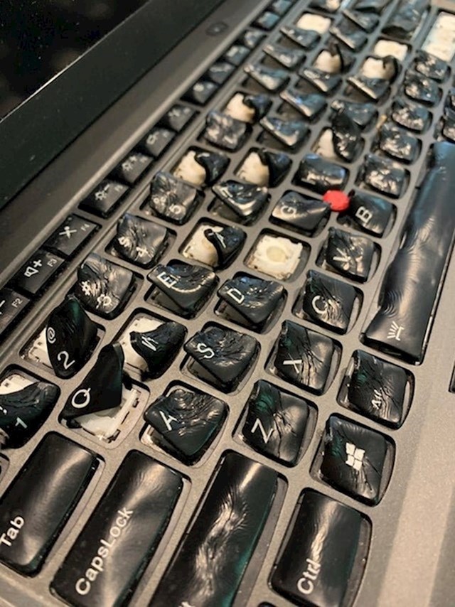 Prolio je vodu po laptopu i stavio ga u pećnicu da se osuši