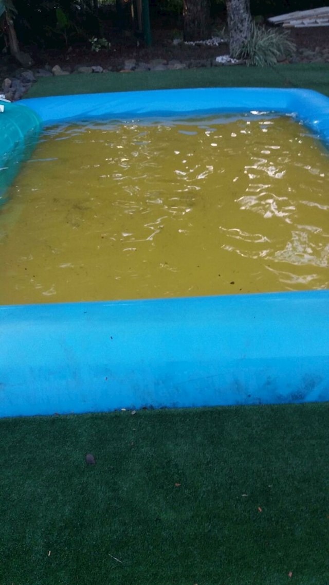 Ovaj plastičn bazen na dnu ima žutu podlogu pa izgleda da je prepun urina