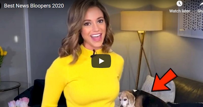 2020. je bila posebno teška godina za TV voditelje, ovo su najveće nezgode pri javljanju uživo