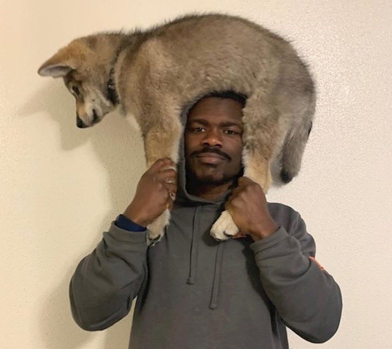 Iz nekog razloga obožava kad ga ovako držim