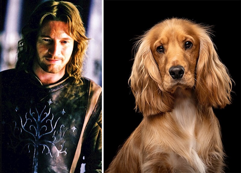 10. Faramir