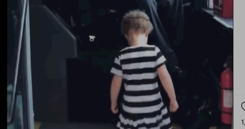 Najpozitivniji video današnjeg dana