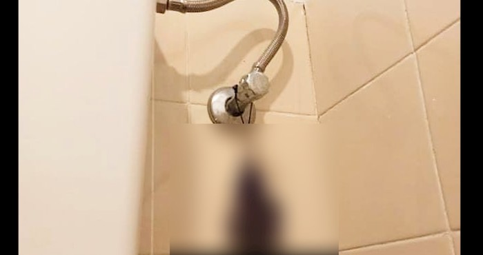 Samo u Dalmaciji: Ovu metodu "osvježavanja" WC-a sigurno još niste vidjeli