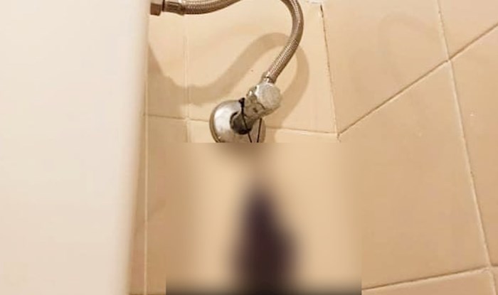 Samo u Dalmaciji: Ovu metodu "osvježavanja" WC-a sigurno još niste vidjeli