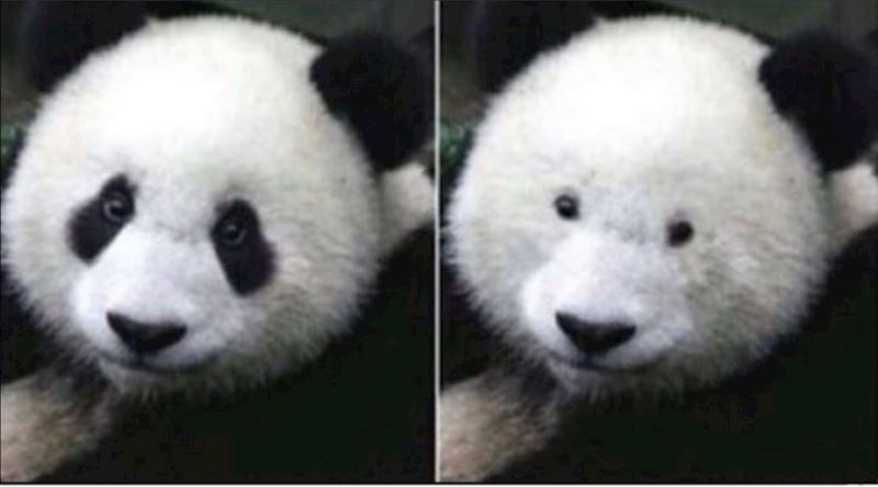 Kad mi prijatelji kažu da skinem naočale, a ja im kažem: dobro, ali nemojte se smijati.