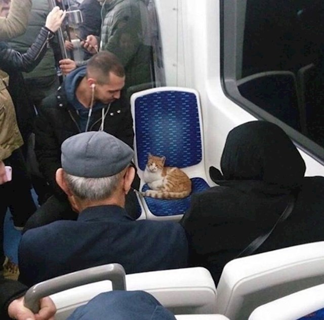 U Istanbulu je ovo uobičajen prizor u javnom prijevozu