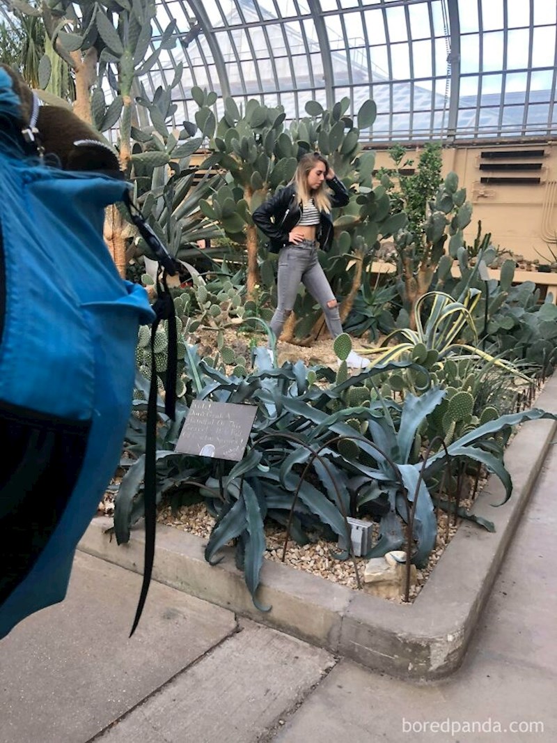 Ušla je u zaštićeno područje u botaničkom vrtu i uništila biljke