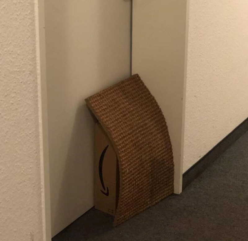 Rekla je dostavljaču da sakrije paket da ga netko ne ukrade